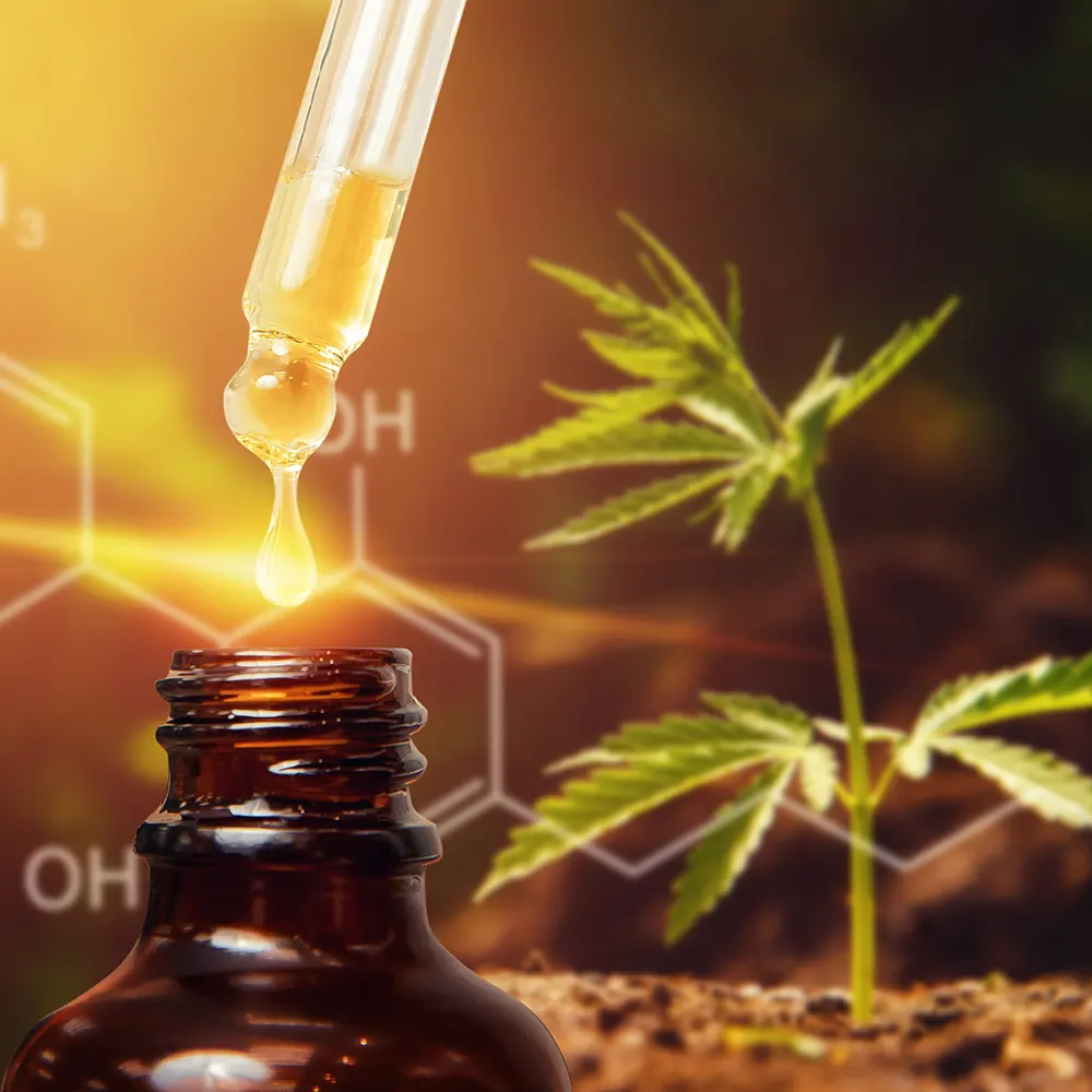 Cannabis thérapeutique
